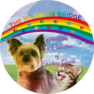 A dog and cat are sitting in front of the rainbow bridge.
