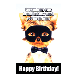 A card with a dog wearing a black mask.