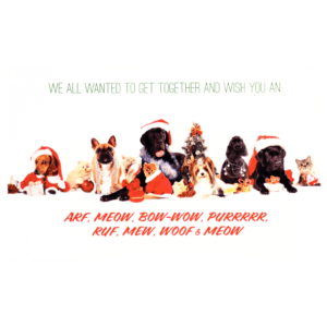 A group of dogs wearing santa hats and sitting on the ground.