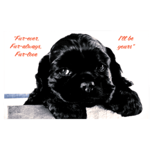 A black dog with a quote on it.