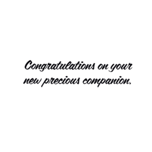Congratulations on your new precious companion.