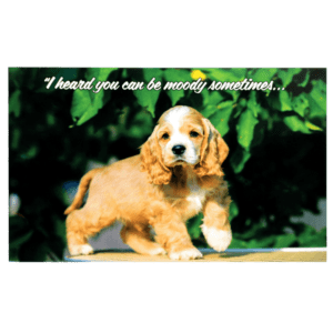 A puppy standing on top of a wooden table.