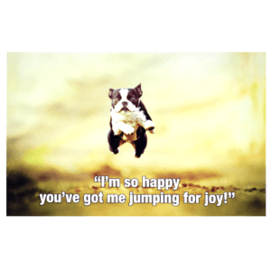 A dog flying through the air with a ball in its mouth.