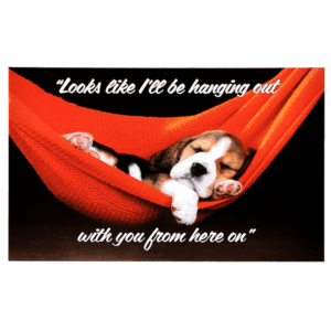 A dog is laying in a hammock with the words 