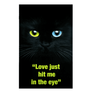 A black cat with two different colored eyes.