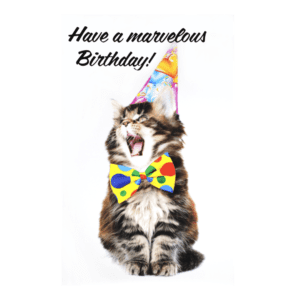 A cat wearing a party hat and a bow tie.