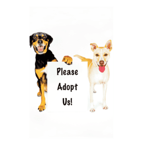 Two dogs holding a sign that says 