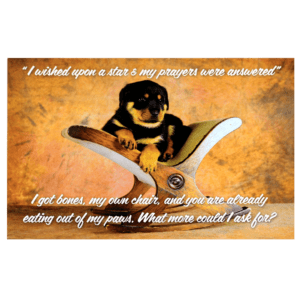 A dog is holding onto some scissors with the words 