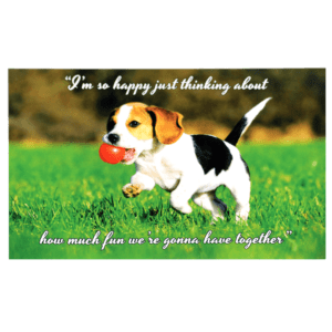 A dog with a ball in its mouth and the words 