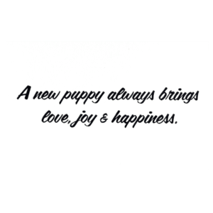 A new puppy always brings love, joy and happiness.