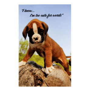 A puppy standing on top of a tree stump.