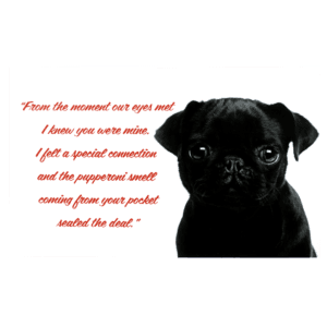 A black pug puppy with a quote from the book, 