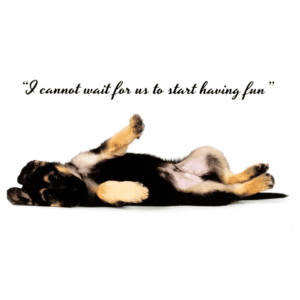 A dog laying on its back with the caption 