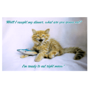 A cat sitting on top of a bed next to a fish.