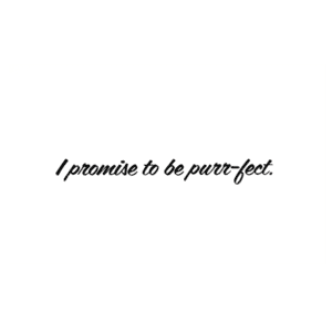 A picture of the words i promise to be purr-fect.