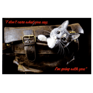A cat is sitting in a bag with the words 