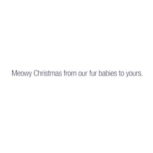 A card with the words meowy christmas from our fur babies to yours.