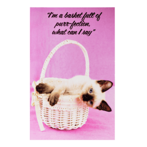 A cat is laying in a basket with the caption 