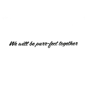 A picture of the words we will be purr-fect together.