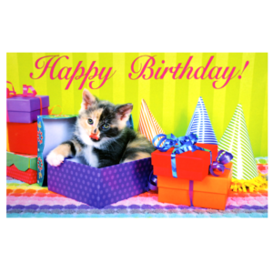 A cat laying in a box with birthday presents.
