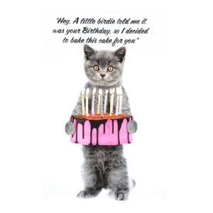 A cat holding a cake in its mouth.