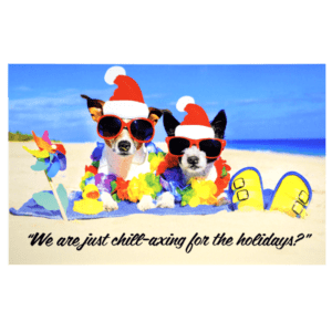 Two dogs in santa hats and sunglasses on the beach.