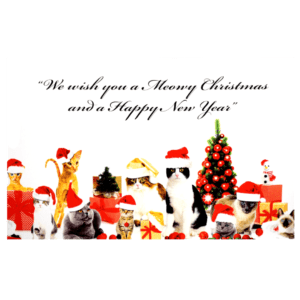 A group of cats wearing santa hats and christmas cards.