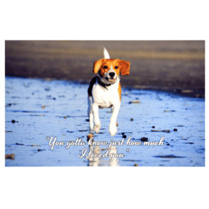 A dog running on the beach with a message.
