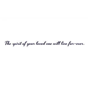 A green background with the words 