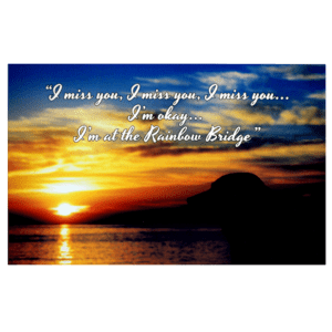 A sunset with the words " i miss you ".
