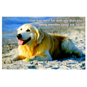 A dog laying on the beach with a quote.