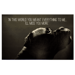 A dog with a quote on it.