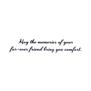 A card with the words may the memories of your far-ever friend bring you comfort.