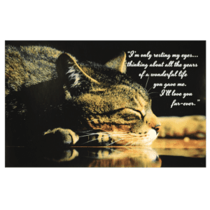 A cat is drinking water with the words 
