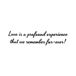 A quote about love is written in black ink.