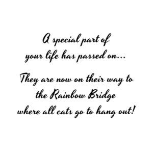 A special part of your life has passed on. They are now on their way to the rainbow bridge where all cats go to hang out !