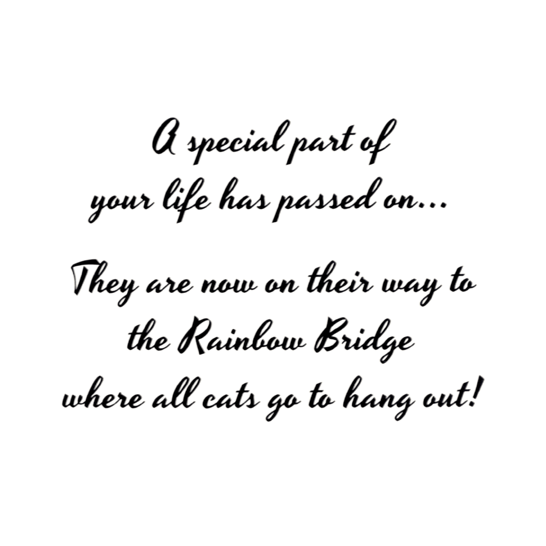 A special part of your life has passed on. They are now on their way to the rainbow bridge where all cats go to hang out !