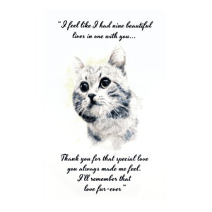 A cat with a quote on it.