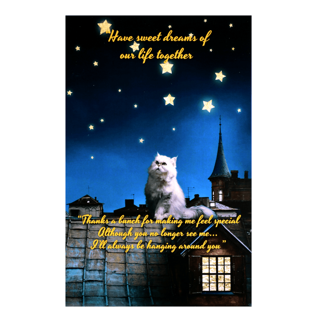 A cat sitting on top of a building under the stars.