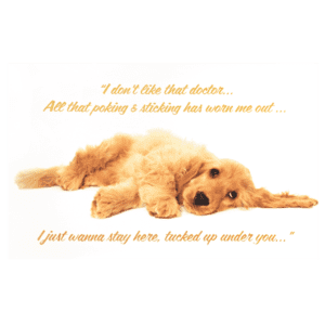 A dog laying down with the words 