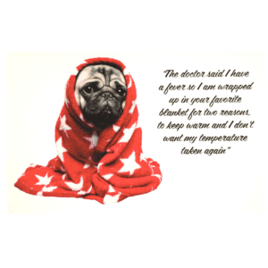 A pug dog wrapped in a blanket with the words 