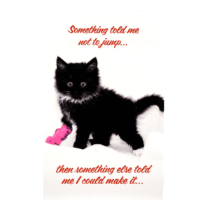 A black cat with pink shoe and quote