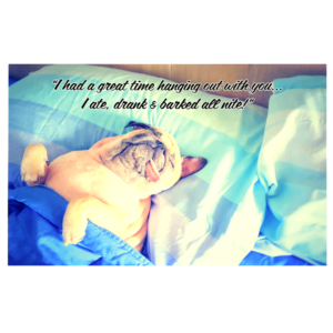 A cat is laying on the bed with a quote.