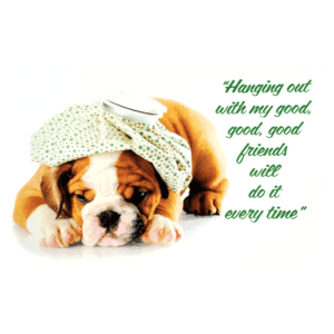 A dog with a bow on its head and quote