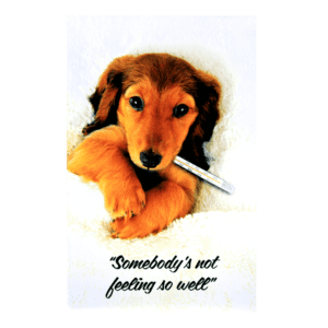 A dog with a pen in its mouth and the quote 