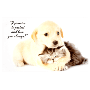 A puppy and kitten are cuddling with the caption 