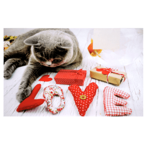 A cat laying on the ground with love spelled out in fabric.