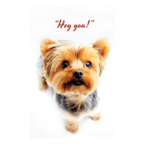 A dog with the words 