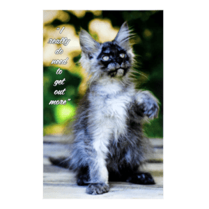 A cat standing on its hind legs with the caption 