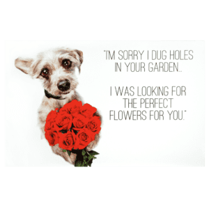 A dog holding roses in his mouth with the caption 